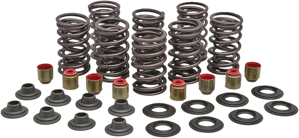KPMI RACING VALVE SPRING KIT 82-82900