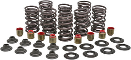KPMI RACING VALVE SPRING KIT 82-82750