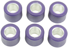 Load image into Gallery viewer, ATHENA ROLLER KIT 16X13 7.5 GR 6 ROLLER S41000030P020