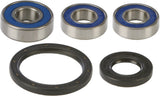 ALL BALLS WHEEL BEARING & SEAL KIT 25-1098