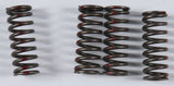 KG HIGH PERFORMANCE SPRING SET KGS-031