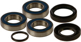 ALL BALLS WHEEL BEARING & SEAL KIT 25-1034
