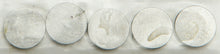 Load image into Gallery viewer, HOT CAMS VALVE SHIMS 8.90X2.00MM 5/PK 5PK890200
