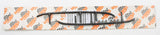 WOODYS STANDARD WEAR BARS RUS-9000