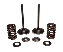Load image into Gallery viewer, KPMI INTAKE VALVE/SPRING KIT STAINLESS STEEL 30-33250
