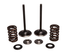 KPMI INTAKE VALVE/SPRING KIT STAINLESS STEEL 30-33250