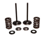 KPMI INTAKE VALVE/SPRING KIT STAINLESS STEEL 30-33250
