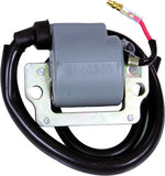 RICKS IGNITION COIL 23-604