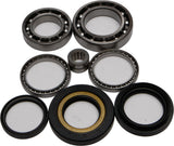 ALL BALLS REAR DIFFERENTIAL BEARING AND SEAL KIT 25-2070