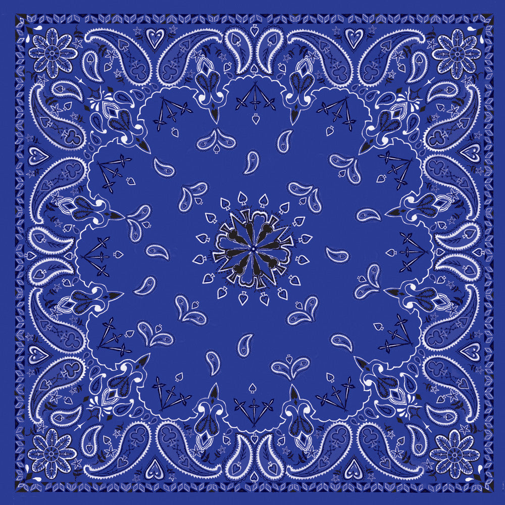 ZAN BANDANNA NAVY PAISLEY B002-atv motorcycle utv parts accessories gear helmets jackets gloves pantsAll Terrain Depot