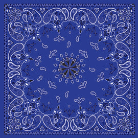 ZAN BANDANNA NAVY PAISLEY B002-atv motorcycle utv parts accessories gear helmets jackets gloves pantsAll Terrain Depot