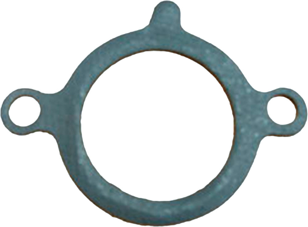 WINDEROSA EXHAUST GASKET 718188
