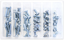 Load image into Gallery viewer, BOLT M6 PAN HEAD PHILLIPS ASSORTMENT 120 PIECE KIT SV-M6PAN