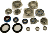 ALL BALLS DIFFERENTIAL BEARING AND SEAL KIT 25-2089