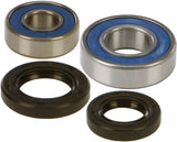 ALL BALLS WHEEL BEARING & SEAL KIT 25-1044