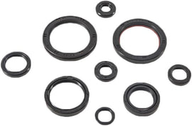 WINDEROSA OIL SEAL SET 822989