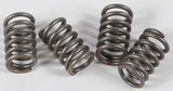 EBC CLUTCH SPRINGS CSK3