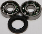ALL BALLS CHAIN CASE BEARING & SEAL KIT 14-1029