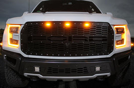 1 Piece Steel Grille for Ford Raptor SVT 2017-2018 - FORD-atv motorcycle utv parts accessories gear helmets jackets gloves pantsAll Terrain Depot